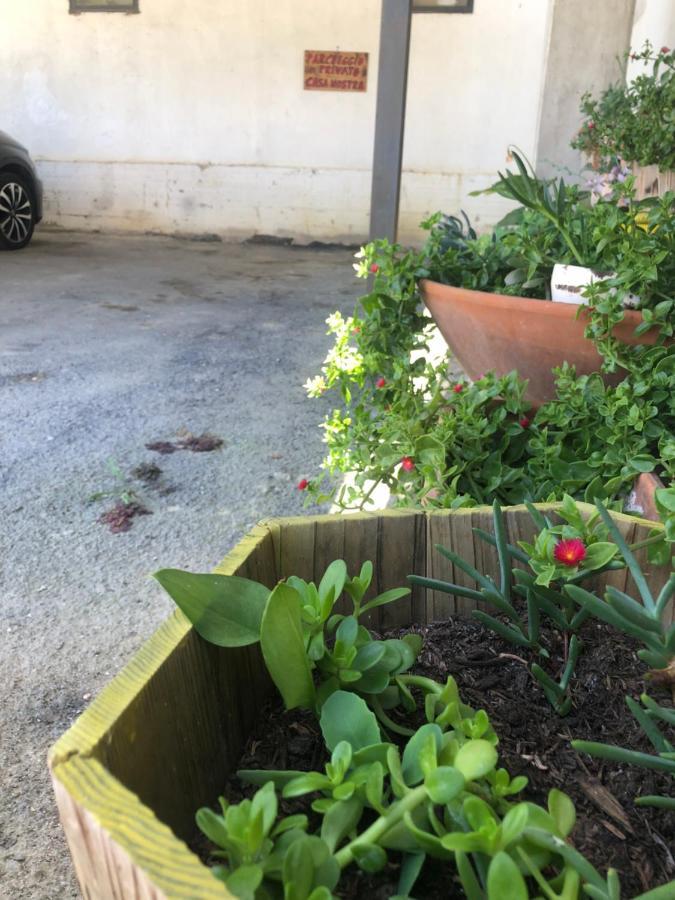 Casanostra Villa San Vito Chietino Dış mekan fotoğraf
